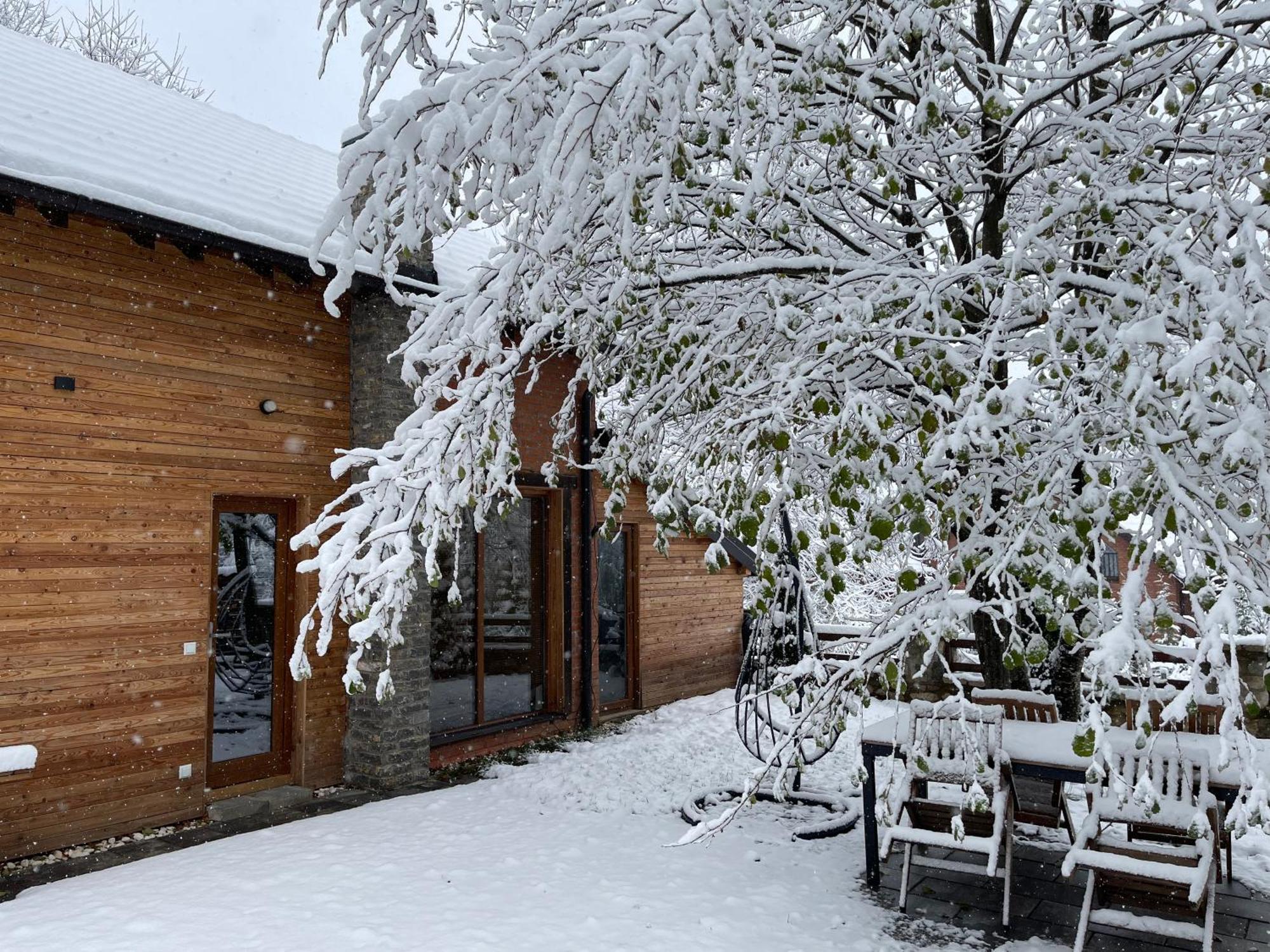 Villa Alpina Brezovice Εξωτερικό φωτογραφία